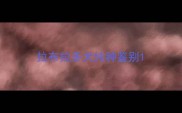 拉布拉多犬纯种鉴别