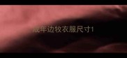 成年边牧衣服尺寸