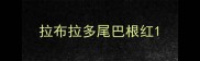 拉布拉多尾巴根红