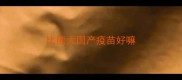 比熊大国产疫苗好嘛