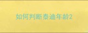 如何判断泰迪年龄