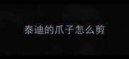 泰迪的爪子怎么剪