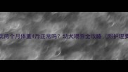 雪纳瑞两个月体重4斤正常吗幼犬喂养全攻略附护理要点
