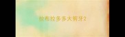 拉布拉多多大剪牙