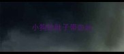 小狗拉肚子带血丝