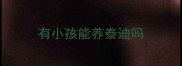 有小孩能养泰迪吗