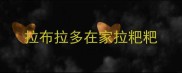 拉布拉多在家拉粑粑