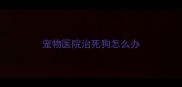 宠物医院治死狗怎么办