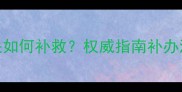 宠物疫苗证缺失如何补救权威指南补办流程与注意事项