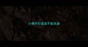 小狗不打疫苗不能洗澡