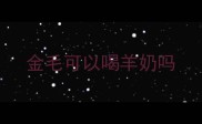 金毛可以喝羊奶吗