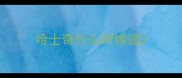 哈士奇什么时候遛