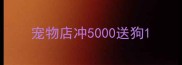 宠物店冲5000送狗