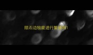 陨石边牧能进行繁殖吗