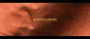 金毛配种什么狗好看