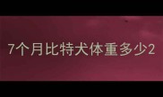 7个月比特犬体重多少