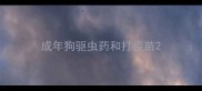 成年狗驱虫药和打疫苗