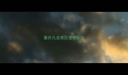 重庆九龙坡区宠物医院