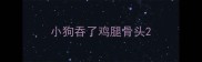 小狗吞了鸡腿骨头