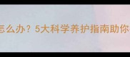 金毛犬抵抗力弱怎么办5大科学养护指南助你提升狗狗免疫力
