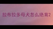 拉布拉多母犬怎么绝育