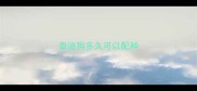 泰迪狗多久可以配种