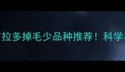 最新拉布拉多掉毛少品种推荐科学养护指南