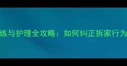 边境牧羊犬训练与护理全攻略如何纠正拆家行为与提升服从性