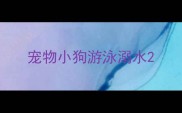 宠物小狗游泳溺水