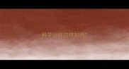 科学训练边牧如厕