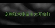 宠物狂犬疫苗多大开始打