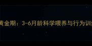 幼犬喂养黄金期3-6月龄科学喂养与行为训练全指南