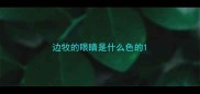 边牧的眼睛是什么色的