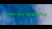 拉布拉多吃猪內脏好吗
