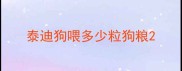 泰迪狗喂多少粒狗粮