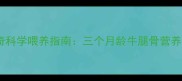 幼犬期哈士奇科学喂养指南三个月龄牛腿骨营养与饲养方案