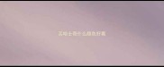 买哈士奇什么颜色好看
