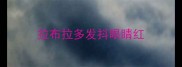 拉布拉多发抖眼睛红