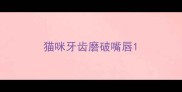 猫咪牙齿磨破嘴唇