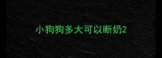 小狗狗多大可以断奶