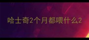 哈士奇2个月都喂什么