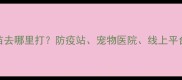 狗狗疫苗去哪里打防疫站宠物医院线上平台全攻略