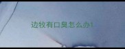 边牧有口臭怎么办
