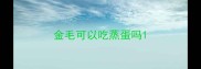 金毛可以吃蒸蛋吗