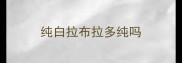纯白拉布拉多纯吗
