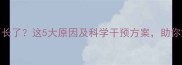 银狐犬3个月不长了这5大原因及科学干预方案助你解决发育难题