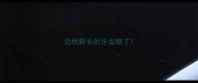边牧新长的牙齿断了
