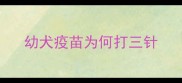 幼犬疫苗为何打三针