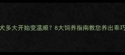 金毛犬多大开始变温顺8大饲养指南教您养出乖巧金毛