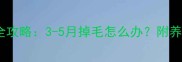 金毛换毛季全攻略3-5月掉毛怎么办附养毛护毛秘籍
